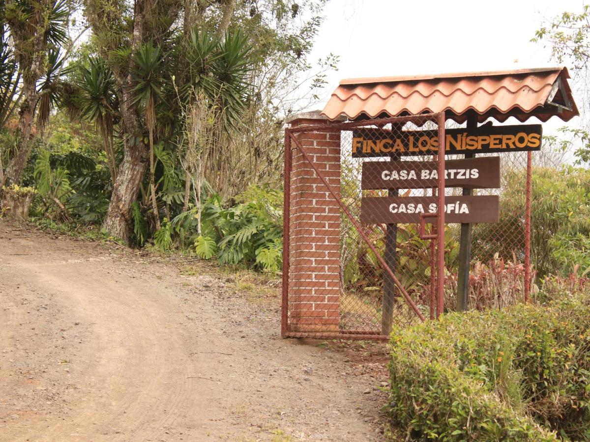 Casa Bartzis, Close To Orosi And Tapanti National Park Εξωτερικό φωτογραφία